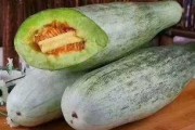 蜜瓜视频 