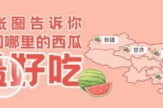 羊咩咩奔跑吧 