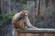 黑料吃瓜网apk普通安装 